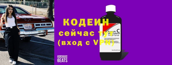 крисы Верхний Тагил