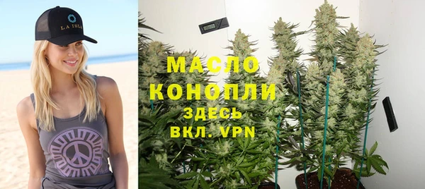 крисы Верхний Тагил