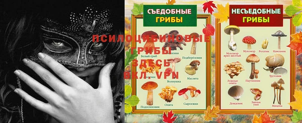 СК Верея