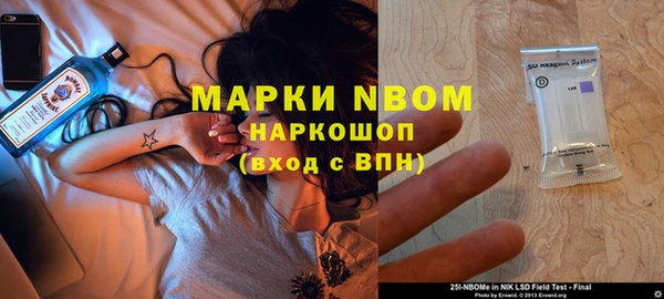 крисы Верхний Тагил